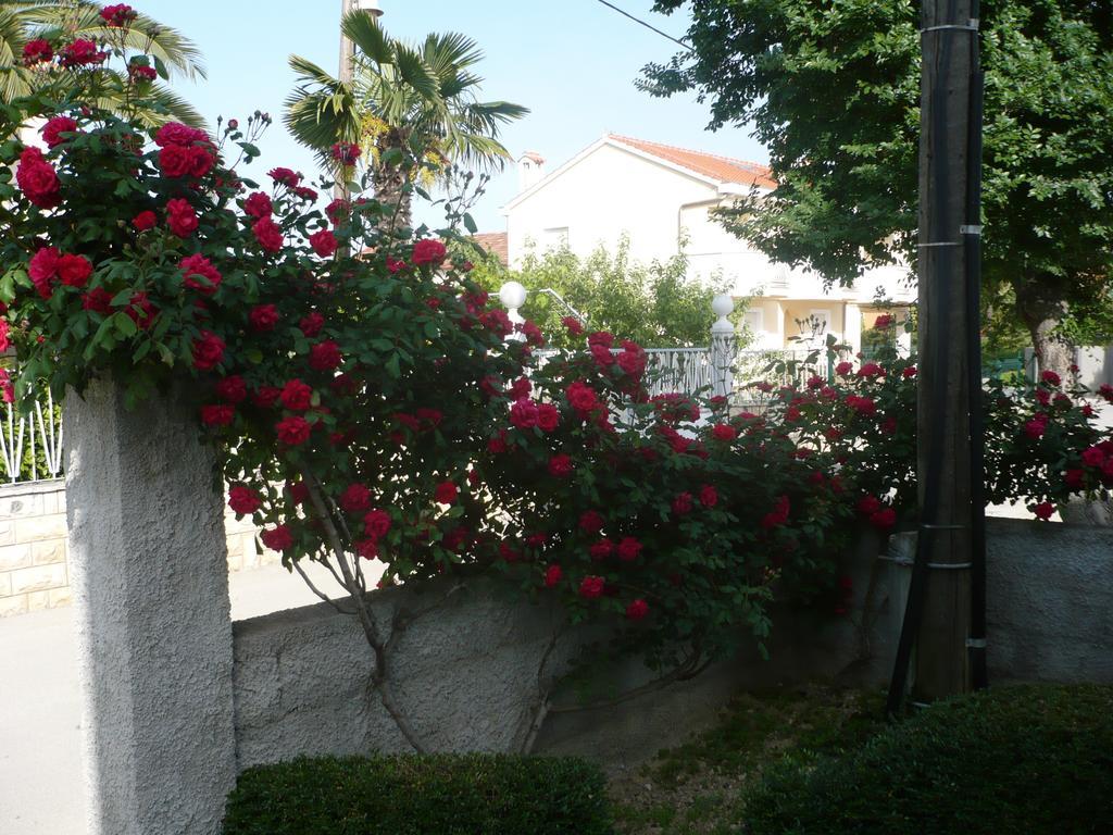 Rose Apartment Zadar Chambre photo